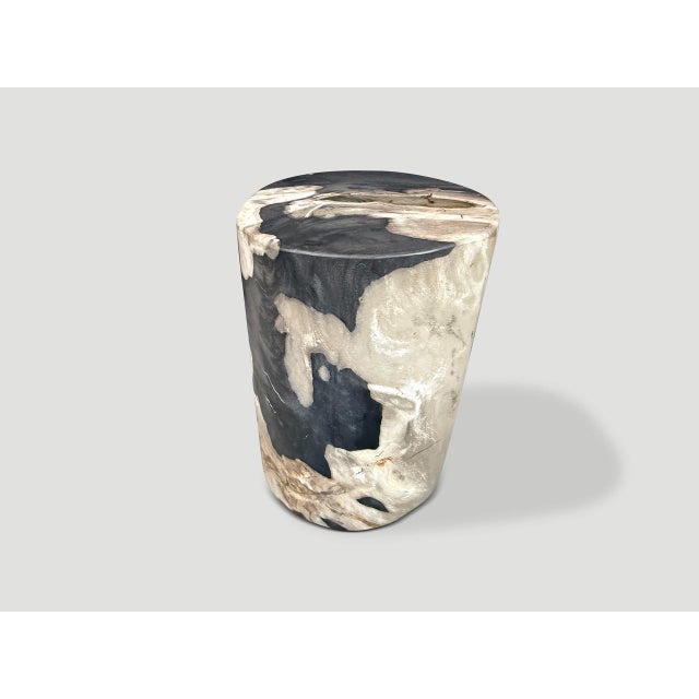Beautiful tones and markings on this impressive petrified wood side table. We added resin on the top for more usability....