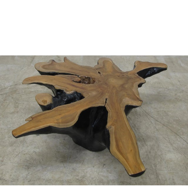 Contemporary Organic Star Teak Root Coffee Table Base For Sale - Image 3 of 6