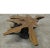 Contemporary Organic Star Teak Root Coffee Table Base For Sale - Image 3 of 6