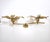 An elegant and sculptural double flower wall lamp in gilt brass, attributed to Willy Dar for Massive Belgium, 1970s....