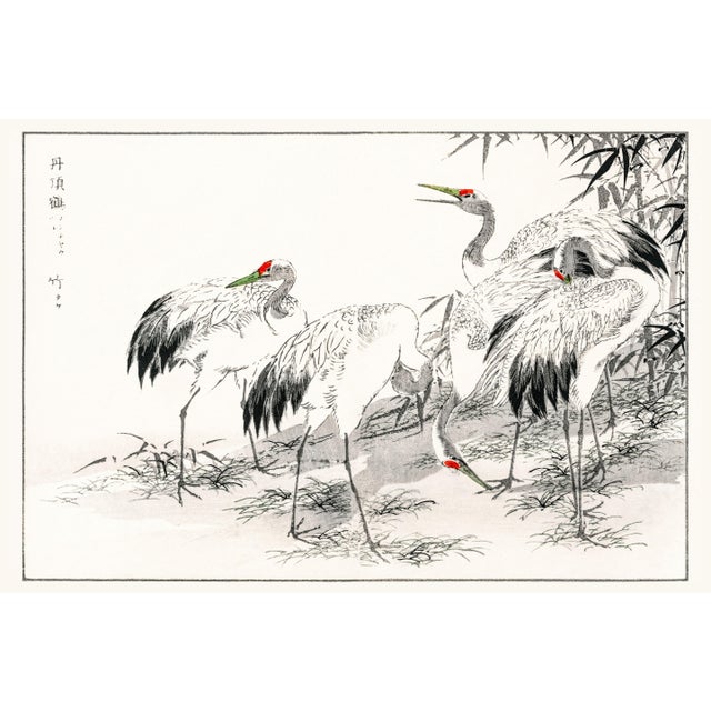 Japanese Cranes Among Bamboo, Vintage Japanese Art Print Reproduction, 60" X 40" For Sale
