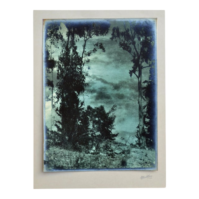 Early 20th Century Photograph Landscape - Looking Through the Sky by Sigismund Blumann For Sale