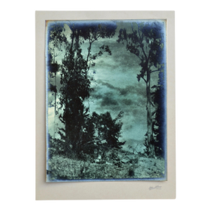 Early 20th Century Photograph Landscape - Looking Through the Sky by Sigismund Blumann