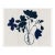 Anemone (var. 1) by Susan Hable, White Frame For Sale