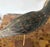 Vintage Hand Carved and Painted Wooden Shorebird, Folk Art For Sale - Image 4 of 6