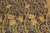 Floral 1990's Heritage Blue/Taupe Wool Rug - 4'1''x6'3'' For Sale - Image 4 of 9