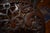Wood 19th Century Set of Four Anglo Indian Rosewood Carved Side Chairs For Sale - Image 7 of 13