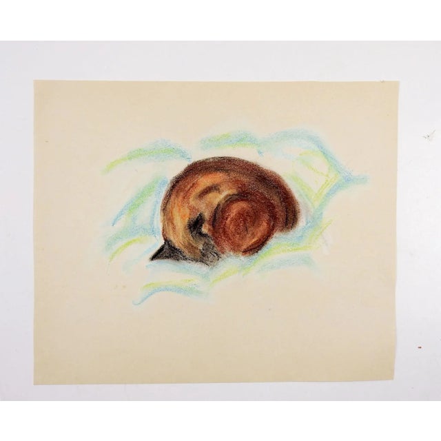 Pastel on paper of sleeping Siamese cat. Unsigned. Unframed, age toning.