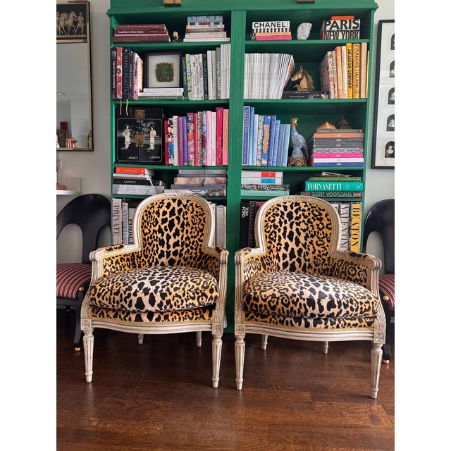 Pair of Vintage Louis XVI Bergere Chairs in Leopard Velvet Excellent sturdy condition. Beautiful gold trim. Chippy paint....