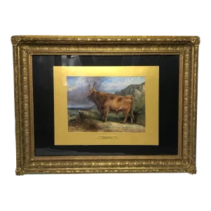 19th Century Scottish Highland Watercolour Painting Prized Longhorn Cattle Signed Aster Richard Chil