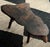 1940s live edge solid wood coffee table with natural grain. All-wood base with pegged construction. Age-appropriate checking.