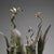 Bronze Patinated Metal Planter For Sale - Image 6 of 11