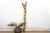 19th Century West African Sun-Bleached Ladder For Sale - Image 9 of 10