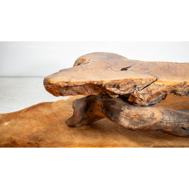 Vintage American Primitive Burlwood Live Edge Coffee Table For Sale - Image 11 of 18
