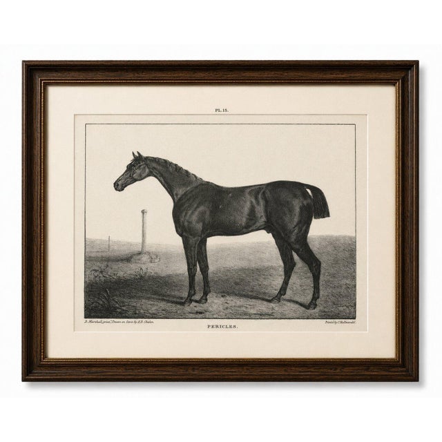 After Chalon, Equestrian Illustrations, Lithographs, 1840, Set of 4 For Sale - Image 5 of 12