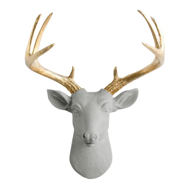 Deer Head Mount >> Wall Charmers Gray Gold Faux Taxidermy Mini Deer Head Mount Deer Head Mount >> Wall Charmers Gray Gold Faux Taxidermy Mini Deer Head Mount