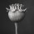 Contemporary 27.5' X 27.5' - 'Poppy Pod Head' #1 - Black and White Botanical Floral Photography Print / Karl Blossfeldt For Sale - Image 3 of 5