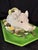 Full platter pig soup tureen. Made in Italy by Costa. Has a nice lid and beautiful serving spoon. Bright green platter. 22...