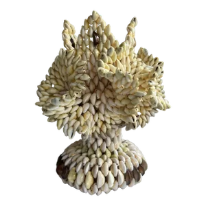 Late 19th Century Vintage South Pacific Cowrie Shell Vase