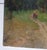 Original Ukrainian Impressionism Painting: Woodland Scenery, 1962 60-50 For Sale - Image 6 of 10