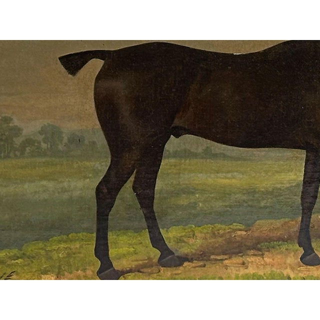 1820s “Dark Bay Hunter in a Landscape” Antique Equestrian Horse Painting Oil on Canvas by James Barenger the Younger For Sale - Image 4 of 12