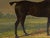 1820s “Dark Bay Hunter in a Landscape” Antique Equestrian Horse Painting Oil on Canvas by James Barenger the Younger For Sale - Image 4 of 12