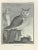 The Owl or Middle Duke is an etching realized by F. Hubert in 1771. The artwork Belongs to the suite "Natural, general and...