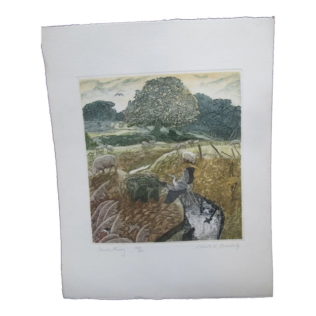 Robert Greenhalf Unframed Heron Rising Signed Limited Edition Art Print Etching For Sale