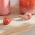 Early 21st Century Little Finches, Set Of 2 For Sale - Image 5 of 9