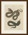This antique snake print shows two serpents, one with its jaws wide open to show the teeth and forked tongue, on an...