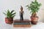 Vintage African Folk Art Sculpture or Doll Carved From Wood and Dark Horn For Sale - Image 12 of 14