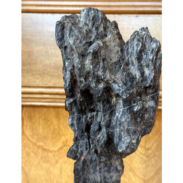 Antique Chinese Scholar Rock Yingde Stone on Display Stand For Sale - Image 11 of 12