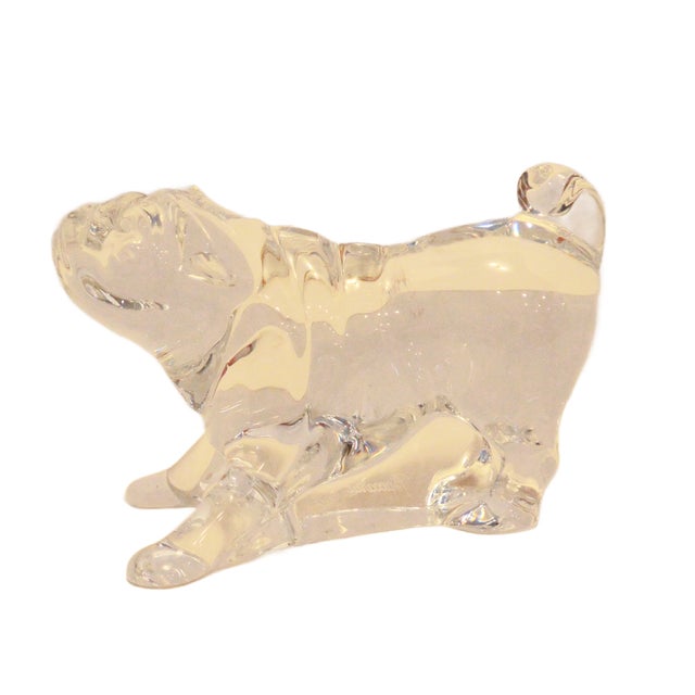 1990s Vintage Signed Baccarat France Crystal Pug Dog Figurine – Playful Crouching Pose For Sale - Image 5 of 8