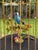 1950s Karl Griesbaum Made in Germany Mechanical Singing Bird Cage Automaton - New in Box For Sale - Image 11 of 17
