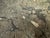 Stone Fossil Stone Nesting Coffee Tables, 1980s, Set of 2 For Sale - Image 7 of 18