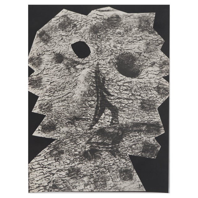 Pablo Picasso, Diurnes, The Deepest Silence, Original Phototype For Sale
