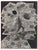 Pablo Picasso, Diurnes, The Deepest Silence, Original Phototype For Sale