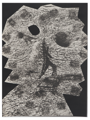 Pablo Picasso, Diurnes, The Deepest Silence, Original Phototype