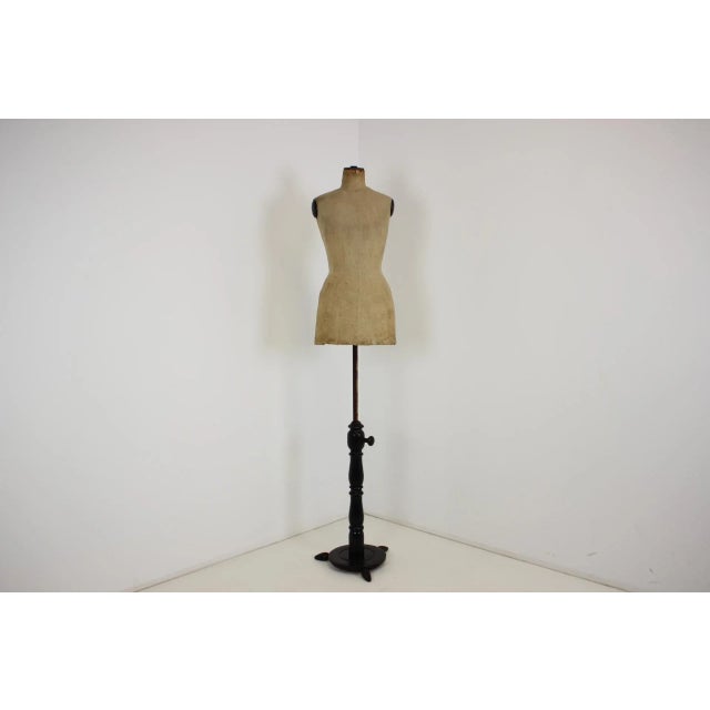 Height-Adjustable Tailor's Maiden, 1920s For Sale - Image 3 of 12