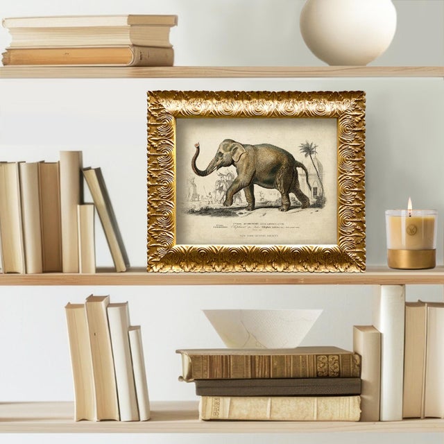This is a reproduction giclee print from our "Safari" series. Please note there are 2 images in this series, see our...