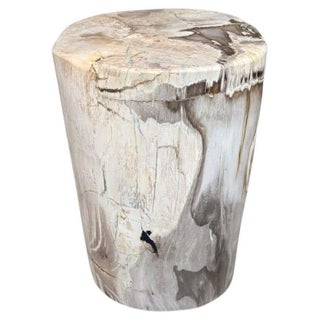 Andrianna Shamaris Ancient Petrified Wood Side Table For Sale