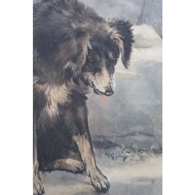 Antique Arlent Edwards First Step Puppy Engraving After George Swinstead 37" For Sale - Image 11 of 16