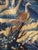 Flemish 18 Century Verdure Three Birds and Thistle Plant For Sale - Image 13 of 18