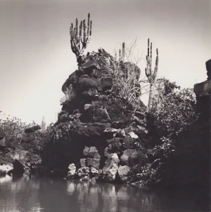 Hanna Seidel, Galápagos Coast, Black and White Photograph, 1960s