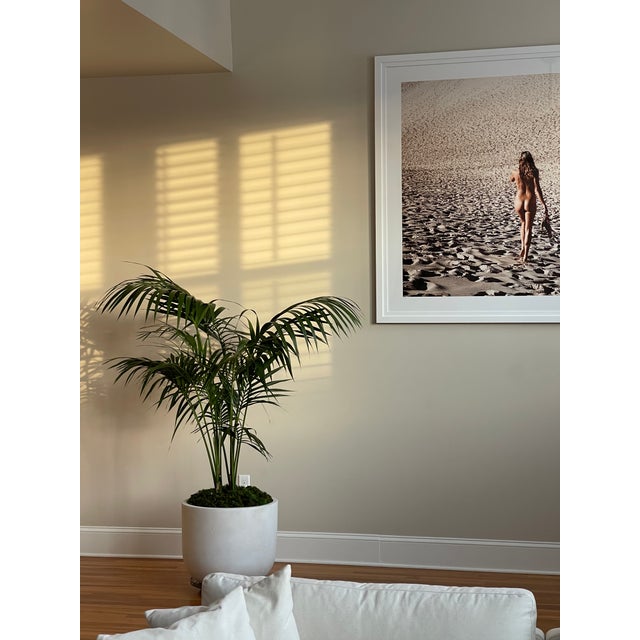 Akila Berjaoui “Beach Bums” — Monumental Custom Oversized Limited-Edition Photograph For Sale - Image 17 of 18