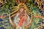 Wood Striking Hand Painted Antique Domed Wood Casket Box With Key Madonna and Child Religious Scene For Sale - Image 7 of 18
