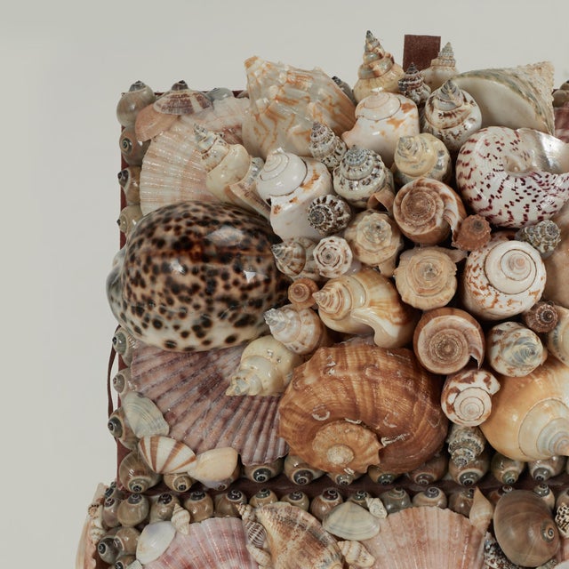 Shell Vintage Seashell Encrusted Box Inbox For Sale - Image 7 of 12