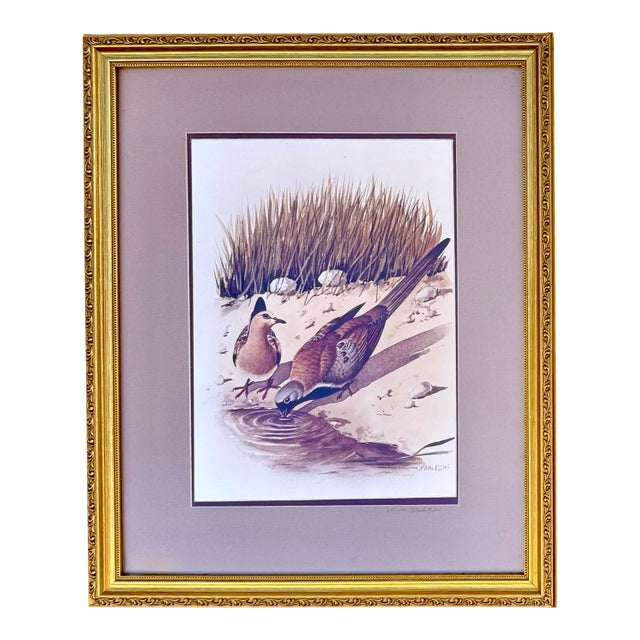 Vintage M. Khaleghi Avian Birds Watercolor Print, Signed & Framed Original l.e. Art For Sale