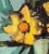 Frank Chabry, Flowers in a Vase, Oil on Masonite For Sale - Image 6 of 11