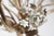 Cream Hollywood Regency Gilded and Cream Rose and Bellflower Chandelier, Italy, 1960s For Sale - Image 8 of 16